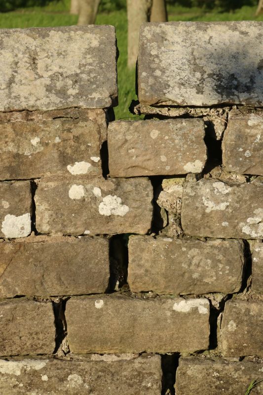 Stone Wall Repair in Queens County, NY